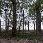 Shoreline along Lake Erie