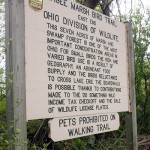 East entrance side to Magee Marsh boardwalk