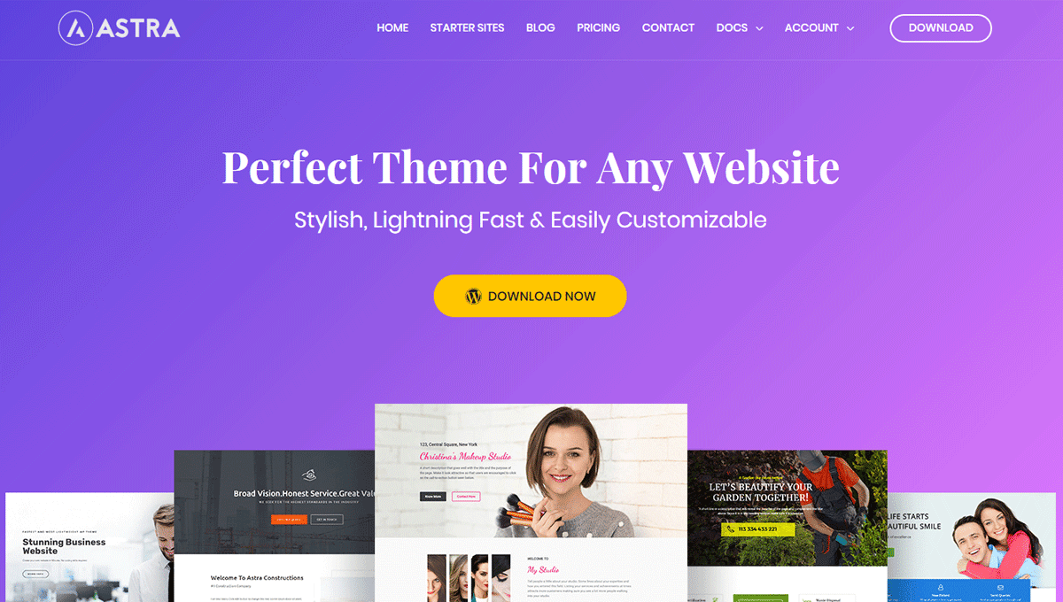 What Browsers Does the Astra WordPress Theme Support? Lireo Designs