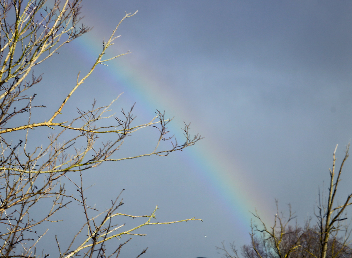Photo of the Week Winter Rainbow at Lake Erie Metropark Lireo Designs