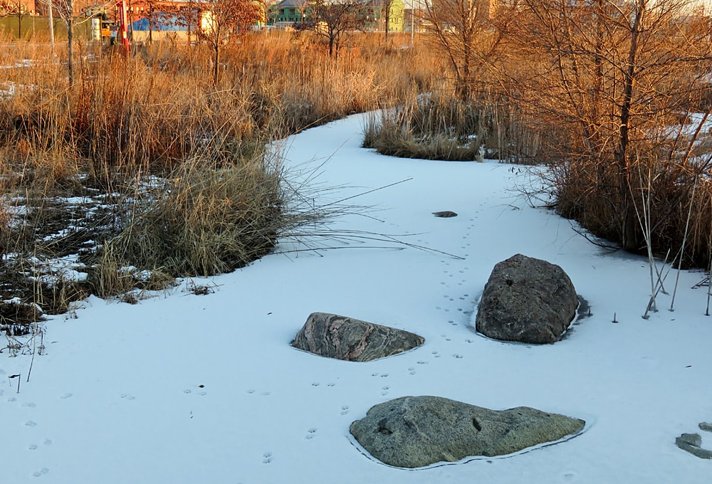 Photo of the Week William G. Milliken State Park and Harbor Lireo